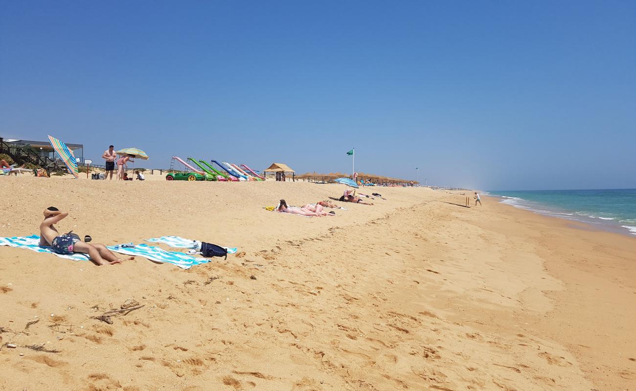 Photo de Plage de Garrao Nascente avec sable fin marron de surface