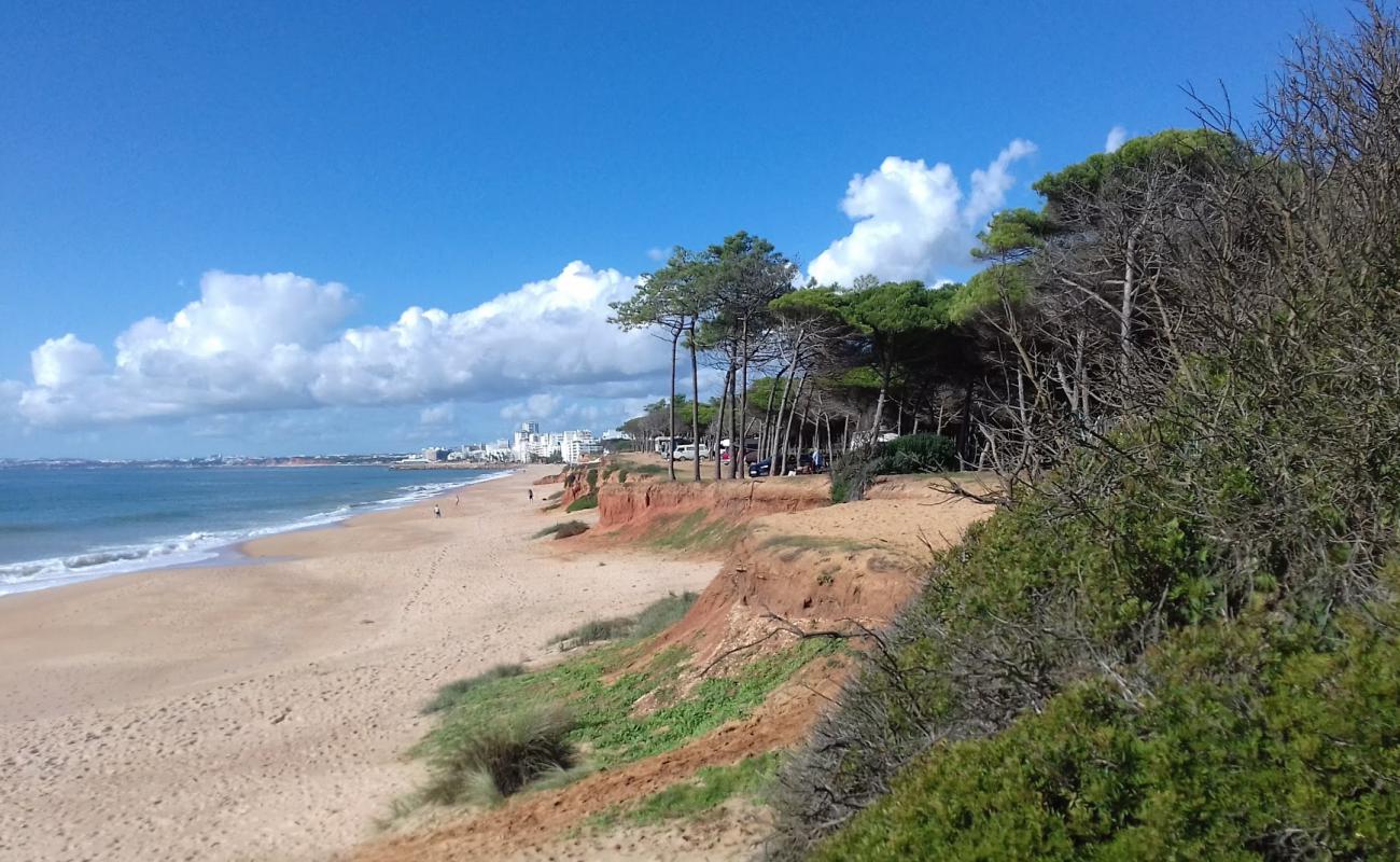 Photo de Loule Velho avec sable brun de surface