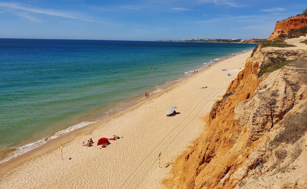 Photo de Plage de Falesia avec sable brun de surface