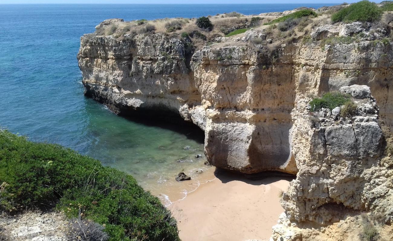 Photo de Ninho de Andorinha avec sable lumineux de surface