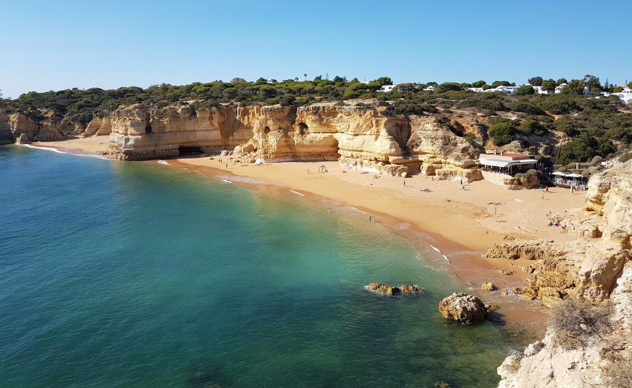 Photo de Praia da Coelha avec sable fin brun de surface