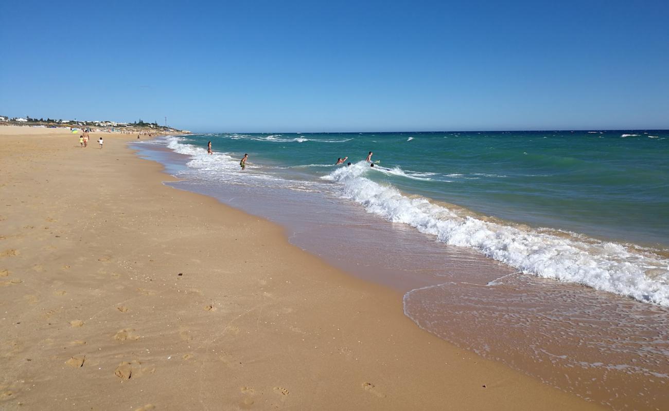 Photo de Praia dos Salgados avec sable fin brun de surface