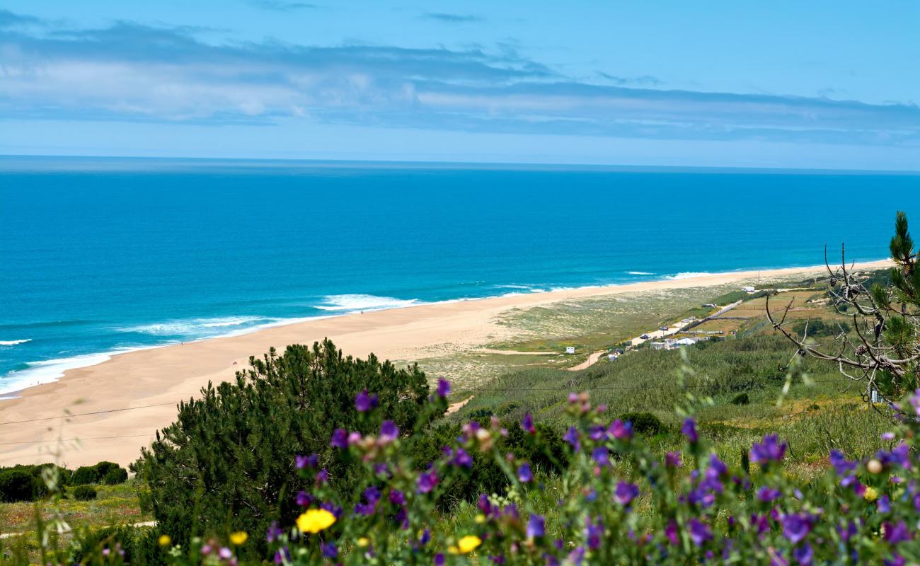 Photo de North Beach avec sable fin et lumineux de surface