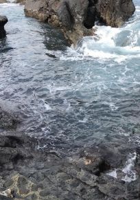 Île de Pico