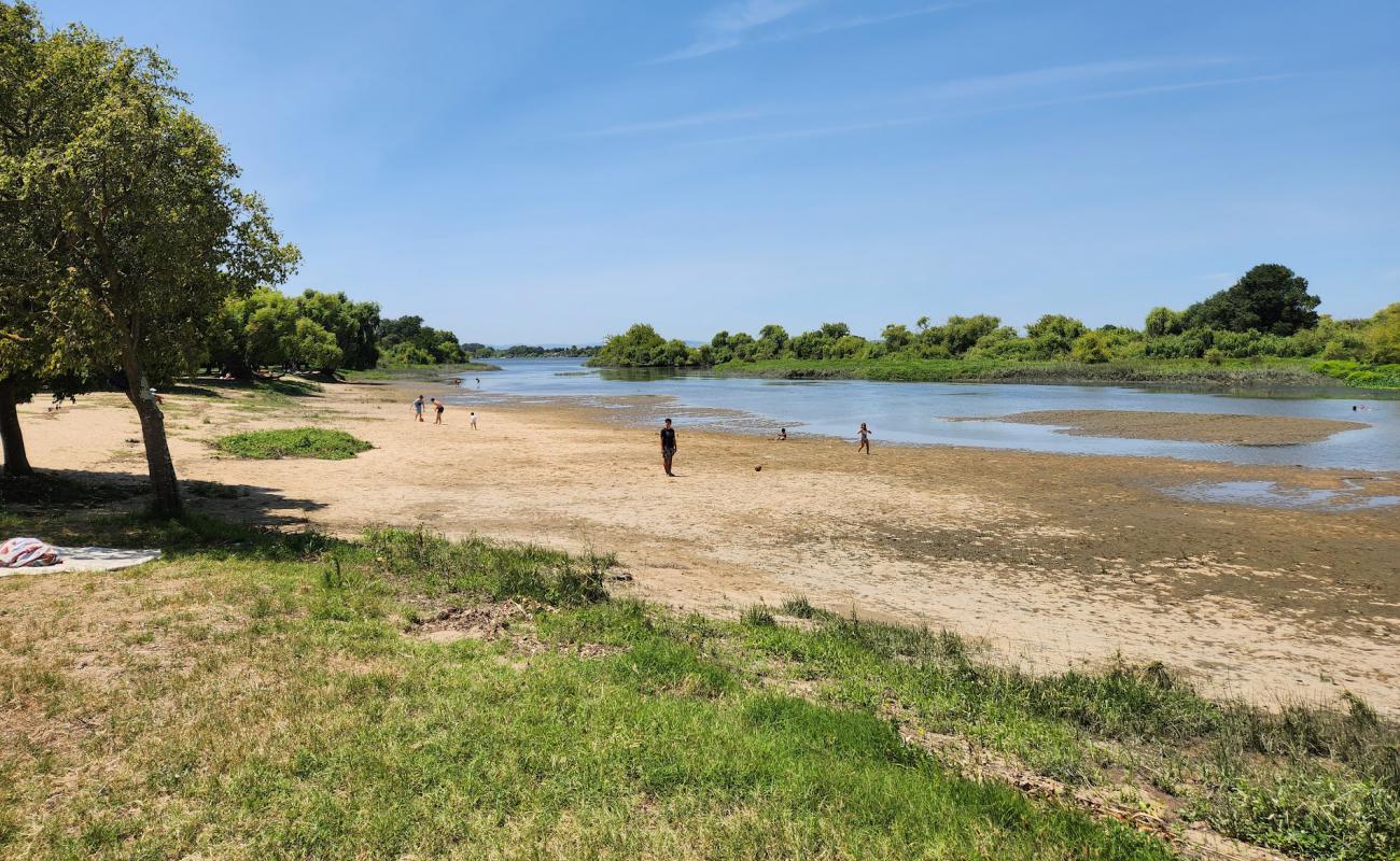 Photo de Praia Doce avec sable beige de surface