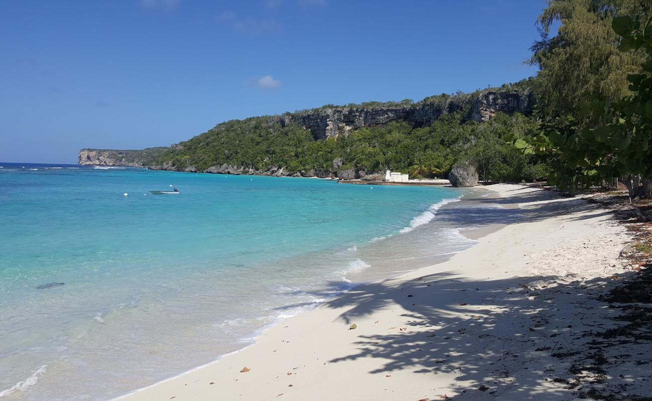 Photo de Sardine beach avec sable fin et lumineux de surface