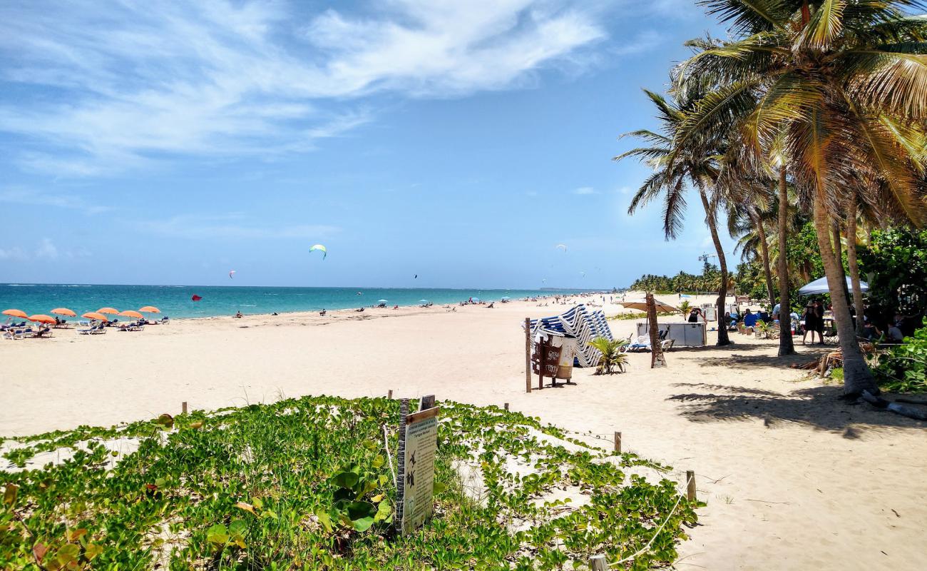 Photo de Ocean Park beach avec sable fin et lumineux de surface