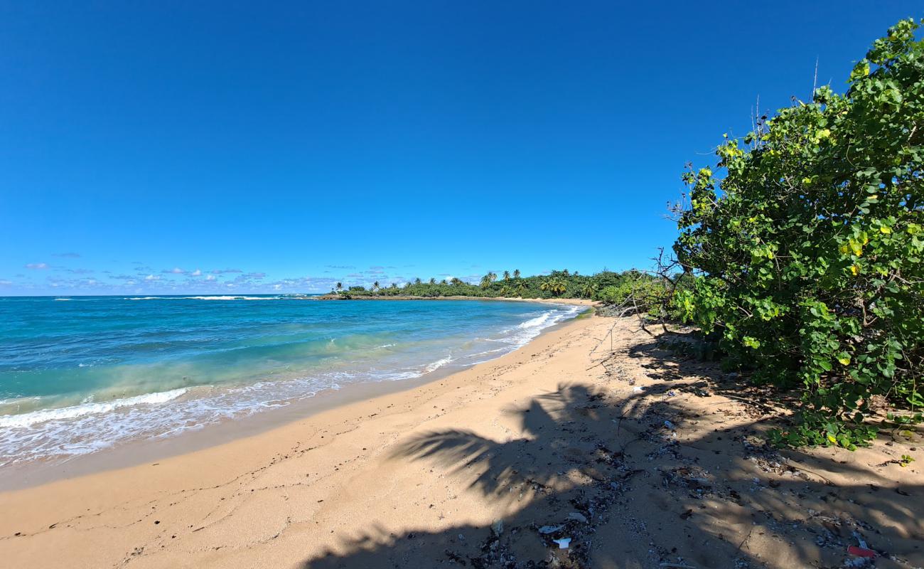 Photo de Aviones beach avec sable fin et lumineux de surface