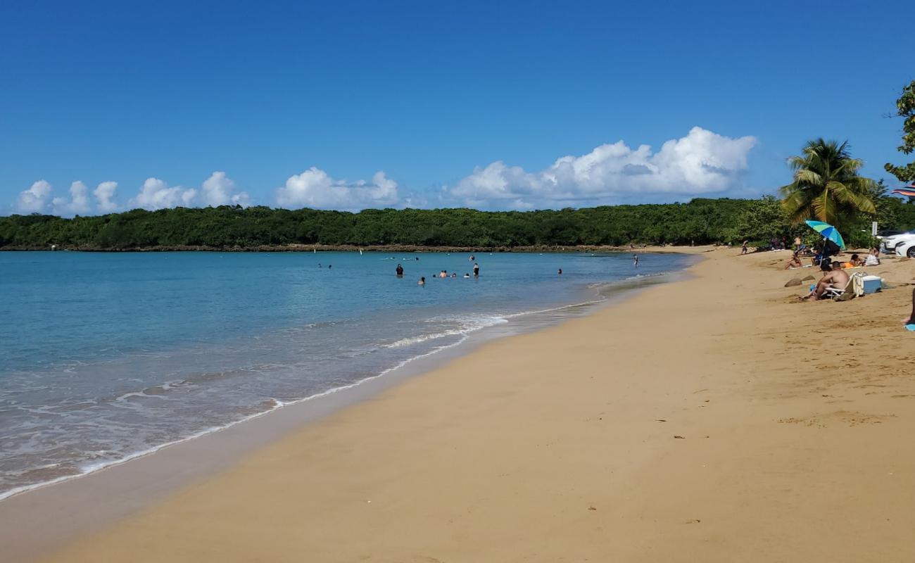 Photo de Playa Vacia Talega avec sable beige fin de surface