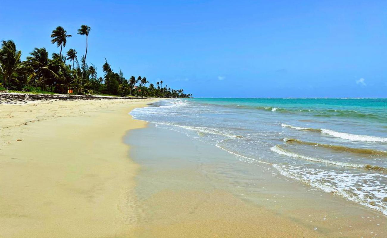 Photo de Playa Rio Grande avec sable fin et lumineux de surface