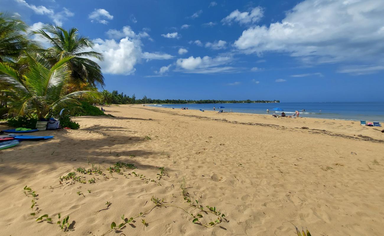 Photo de Playa las Picuas avec sable lumineux de surface