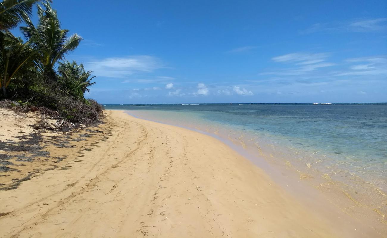 Photo de Plage de Punta Bandera avec sable fin et lumineux de surface