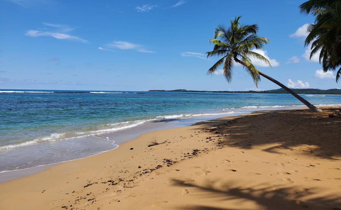 Photo de Playa Migel II avec sable fin et lumineux de surface