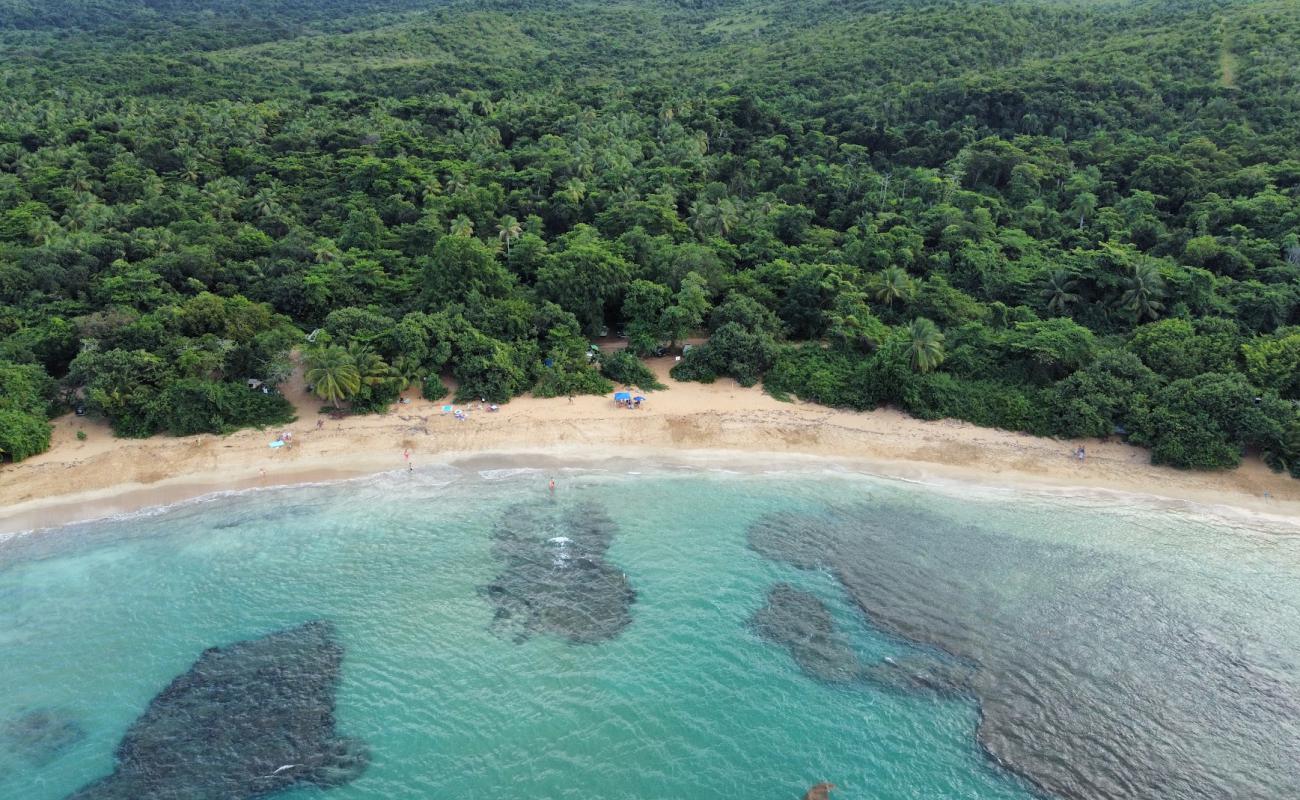 Photo de Playa La Selva avec sable fin et lumineux de surface