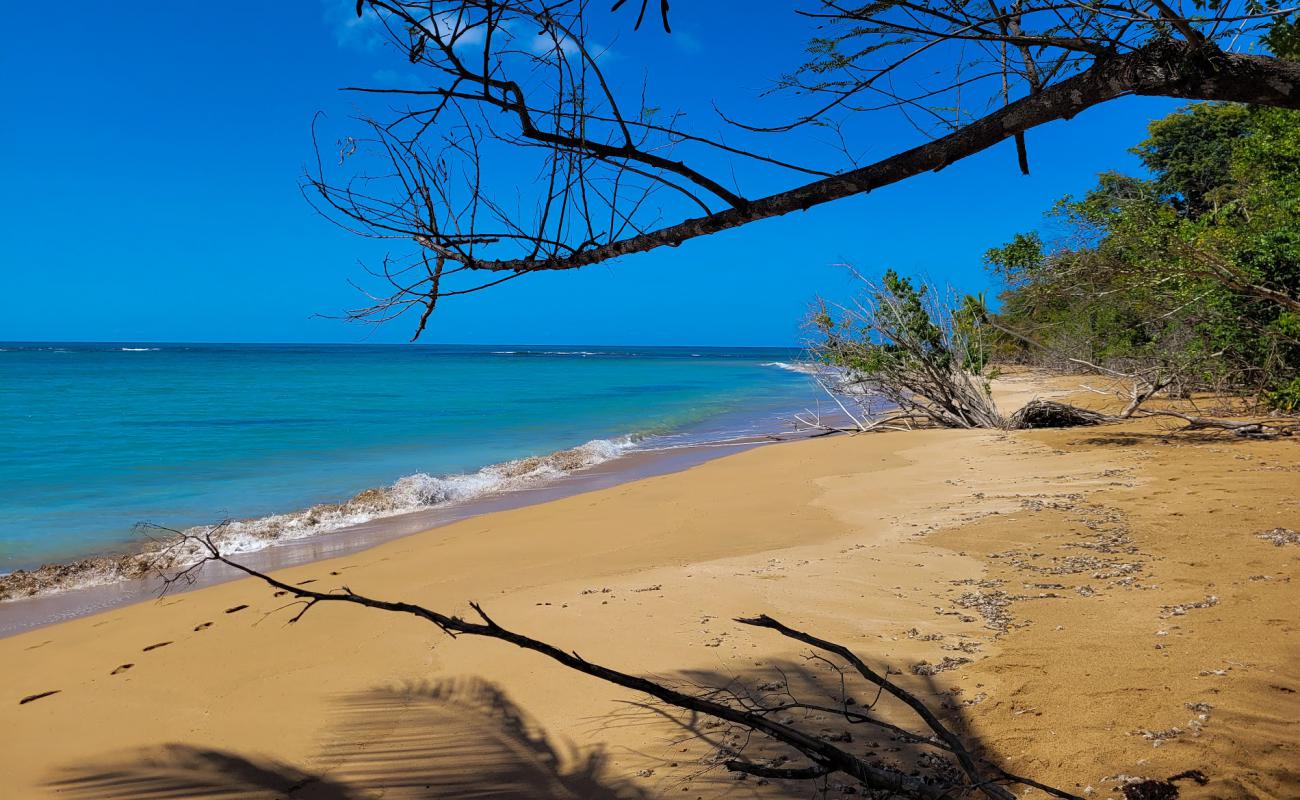 Photo de Playa Fajardo avec sable lumineux de surface