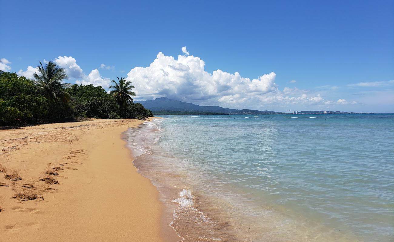 Photo de Playa Escondida avec sable fin et lumineux de surface