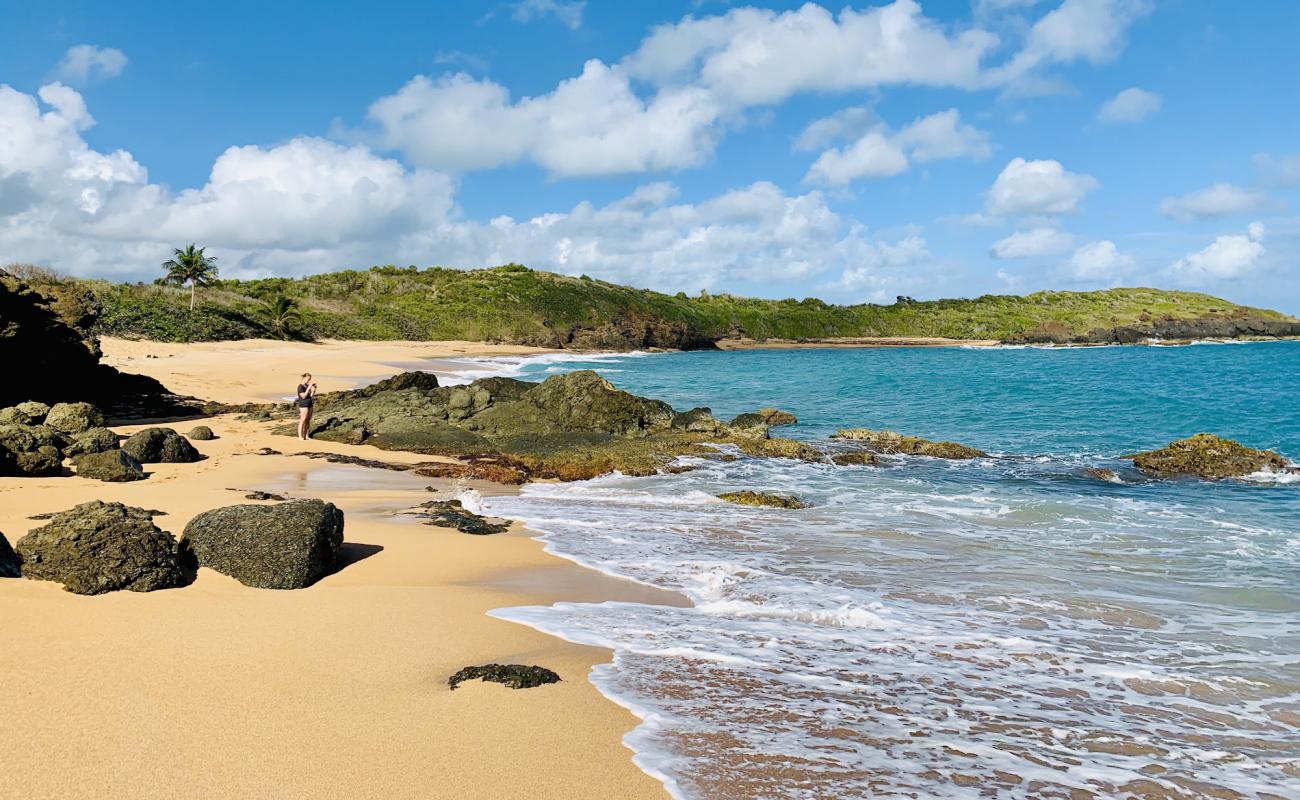 Photo de Playa Colora avec sable lumineux de surface