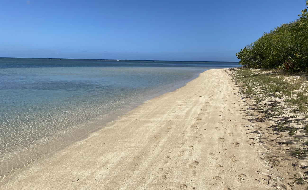 Photo de Playa La Pocita de Mimosa avec sable beige de surface