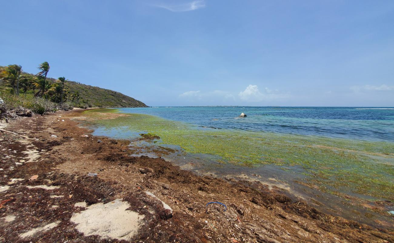 Photo de Playa Canalejo avec sable beige & pierres de surface