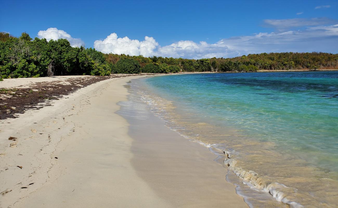 Photo de Playa Cayo Pineiro avec sable fin et lumineux de surface