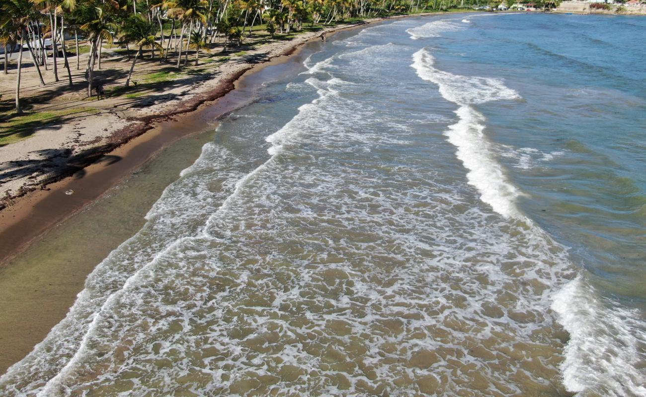 Photo de Playa Guayanes avec sable lumineux de surface