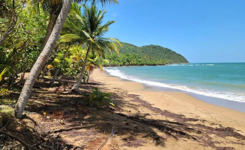 Photo de Playa Emajaguas avec sable beige fin de surface