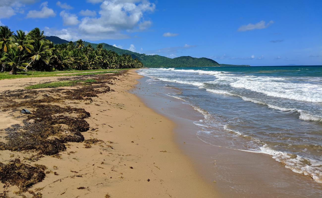 Photo de Playa Punta Tuna avec sable fin et lumineux de surface