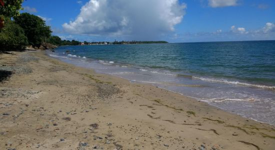 Playa Los Hoteles