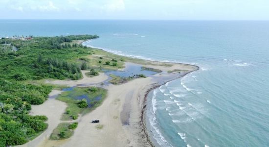 Playa cangrejos