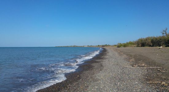 Playa Bizarreta
