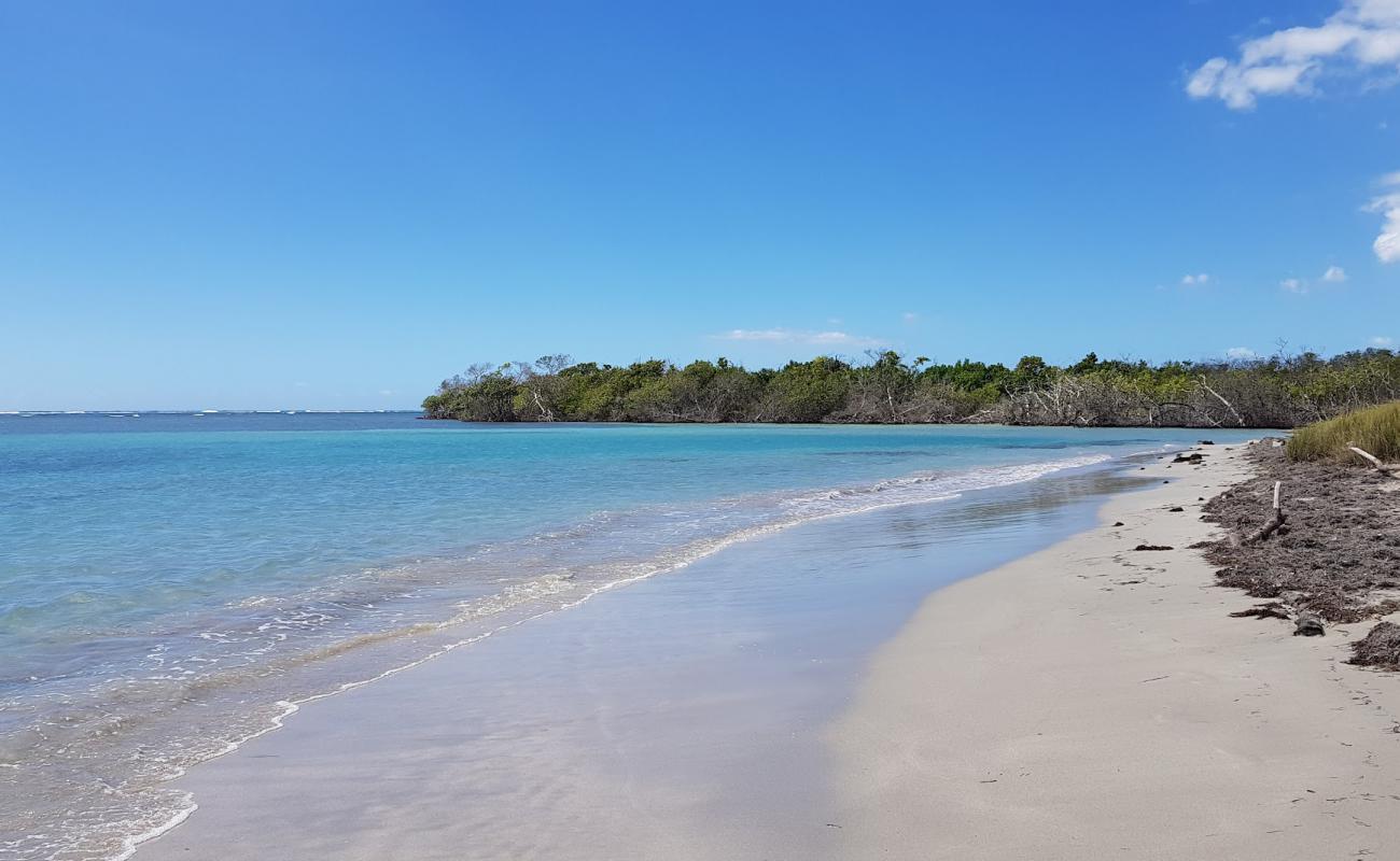 Photo de Playa Ballena avec sable lumineux de surface