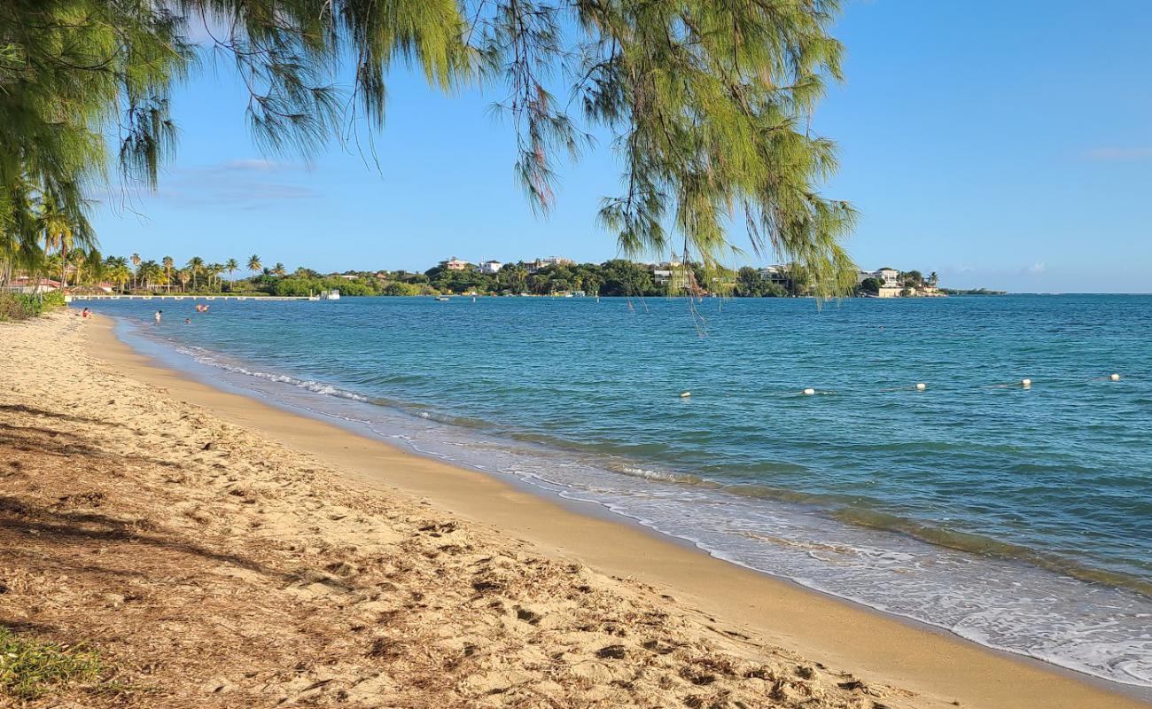 Photo de Playa Cana Gorda avec sable fin et lumineux de surface