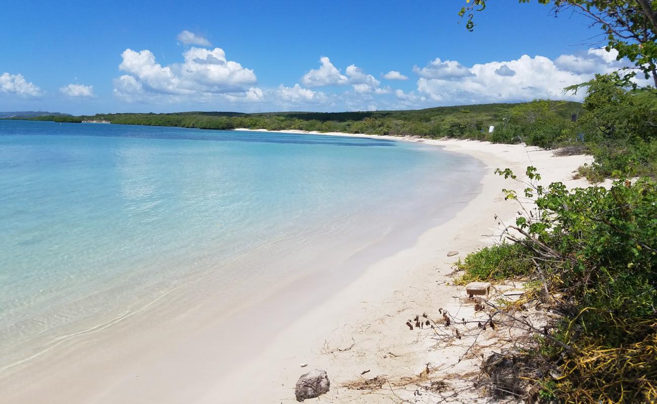 Photo de Playa La Jungla avec sable fin et lumineux de surface