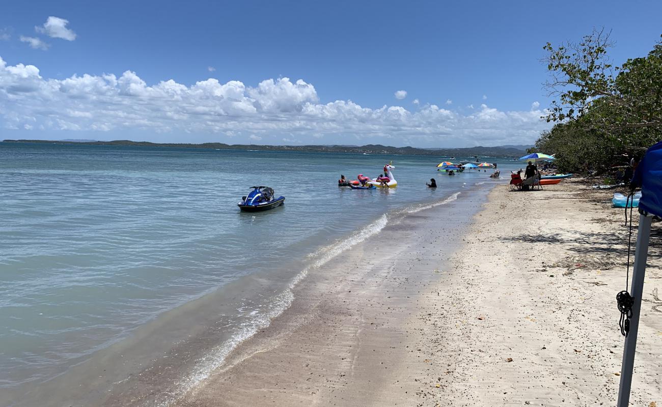 Photo de Playa  Los Pozos avec sable gris de surface