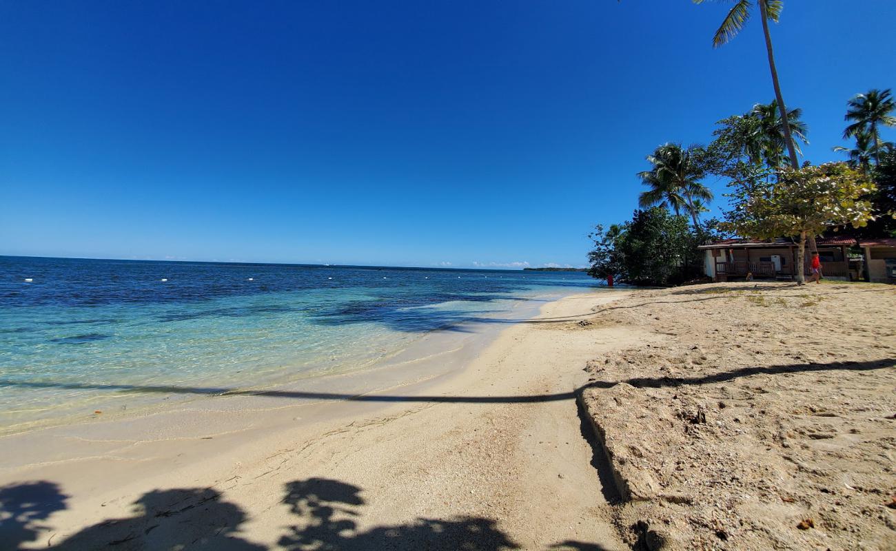 Photo de Playa La Mela avec sable fin et lumineux de surface