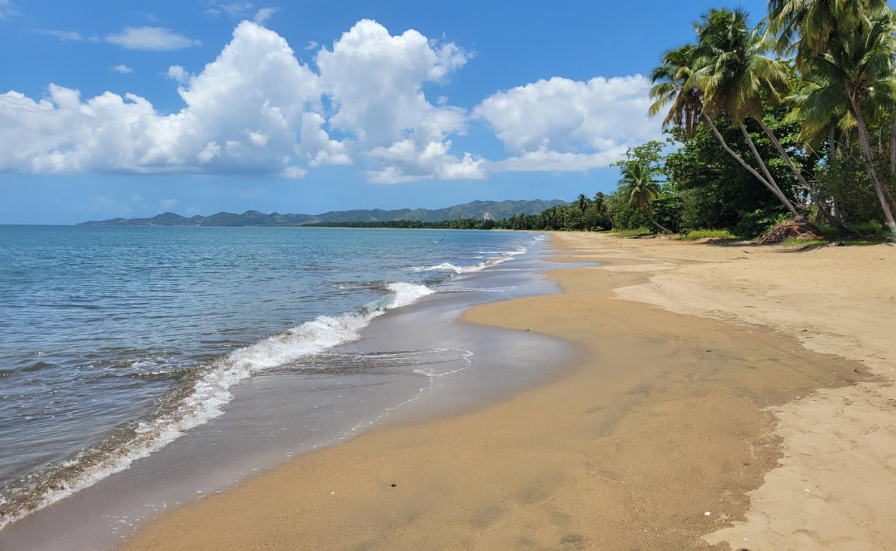 Photo de Playa Sabaneta avec sable lumineux de surface