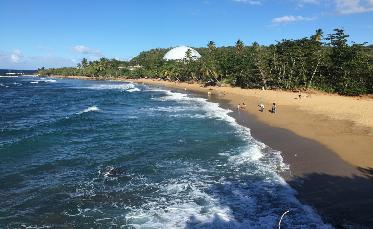 Photo de Domes Beach avec sable fin et lumineux de surface