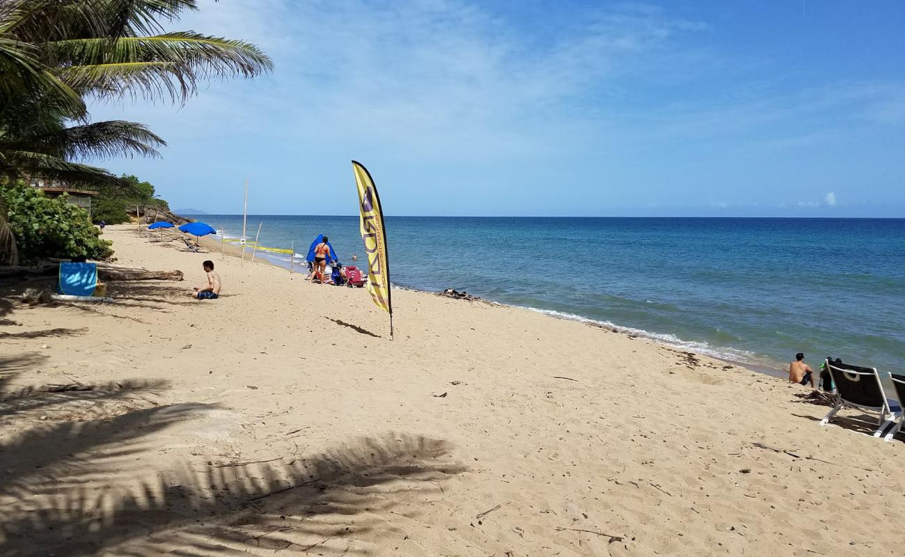 Photo de Sandy Beach East avec sable lumineux de surface