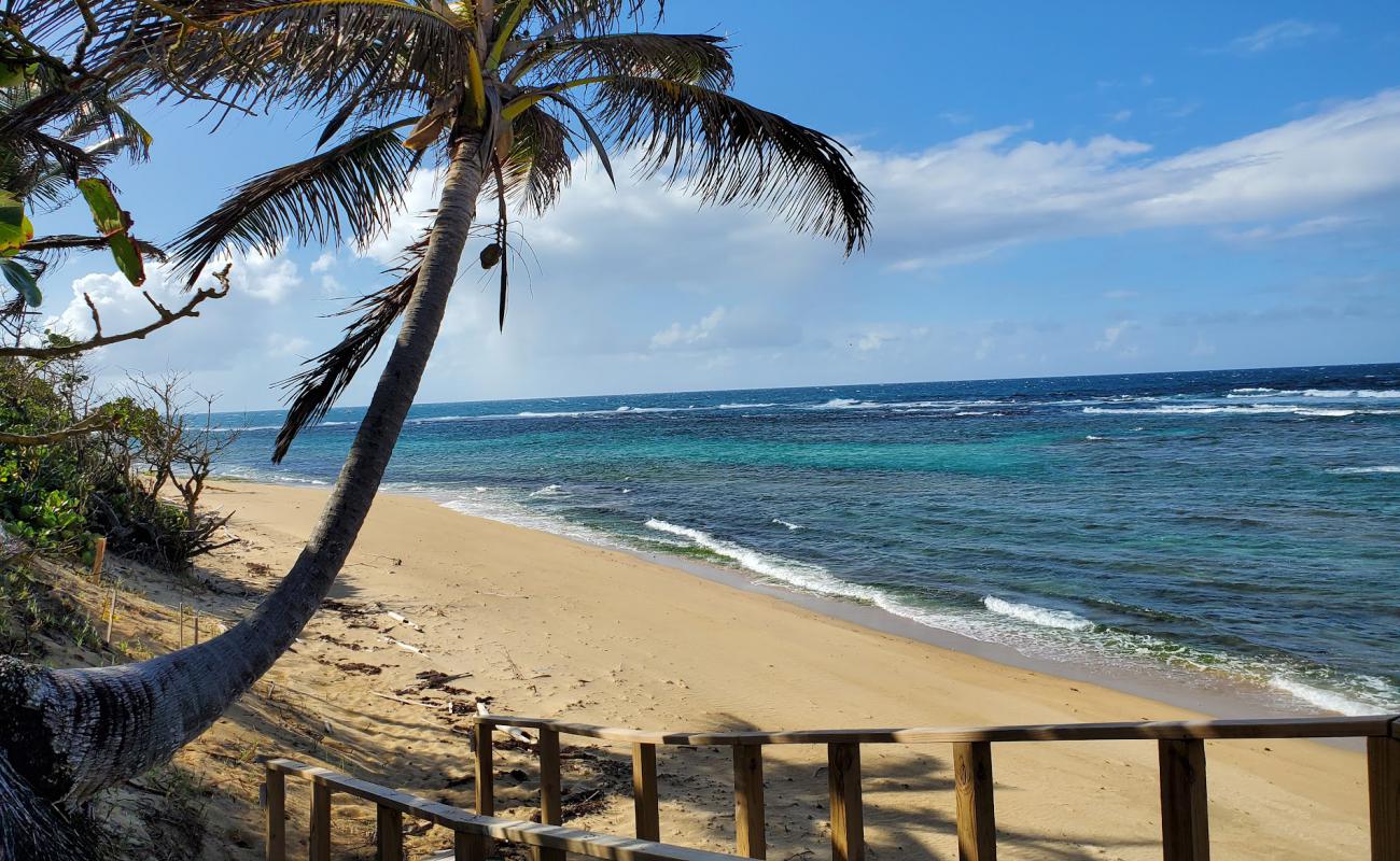 Photo de Shacks beach avec sable lumineux de surface