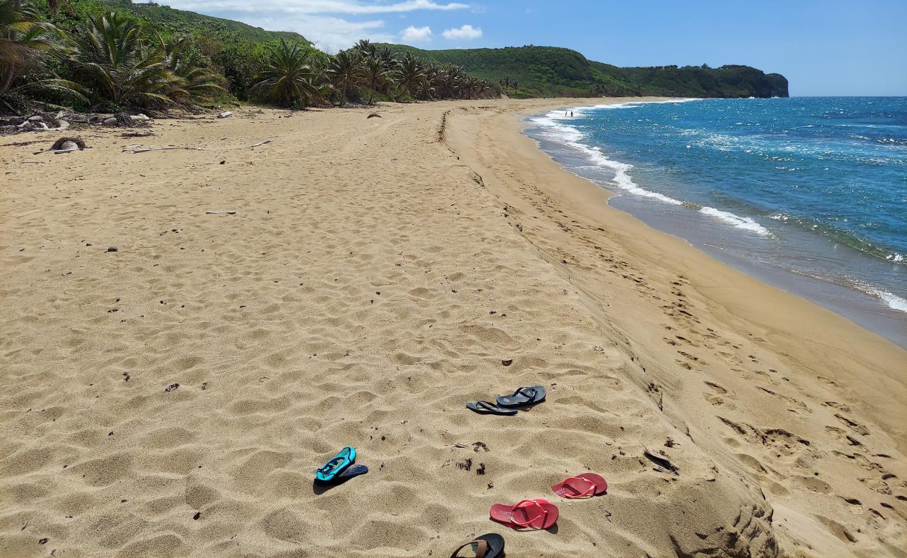 Photo de Shago beach avec sable beige de surface