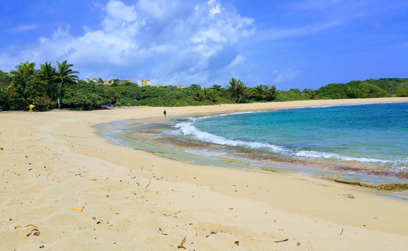 Photo de Las Palmas beach avec sable lumineux de surface