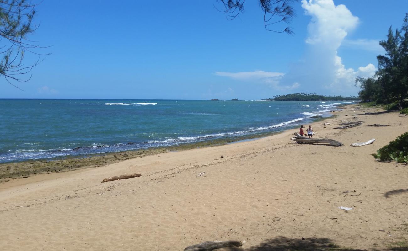 Photo de Playa de Vega Baja avec sable brillant et rochers de surface