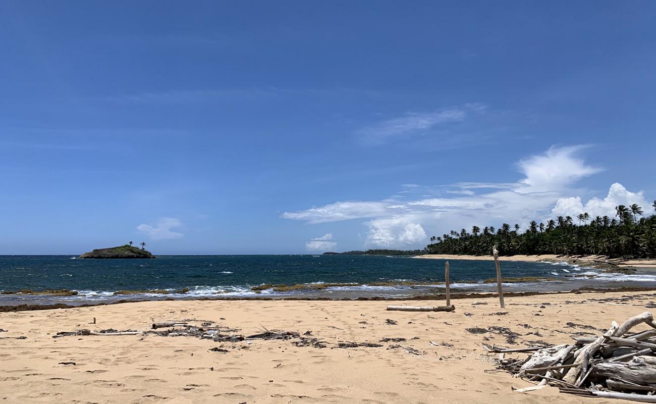Photo de Punta Cibuco beach avec sable beige de surface