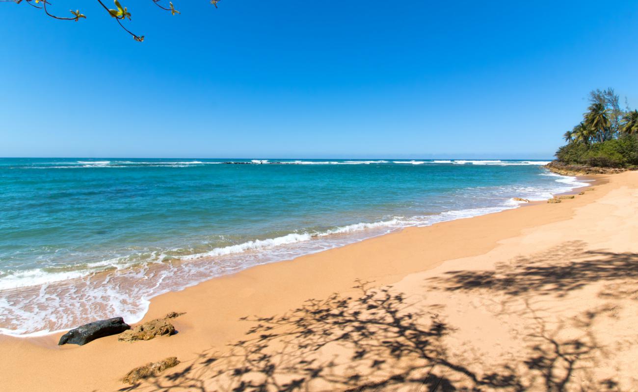 Photo de Brenas beach avec sable beige de surface