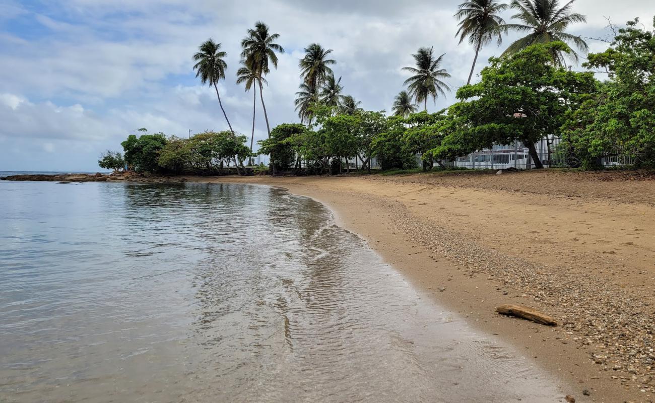 Photo de Playa Dorado del Mar avec sable beige de surface