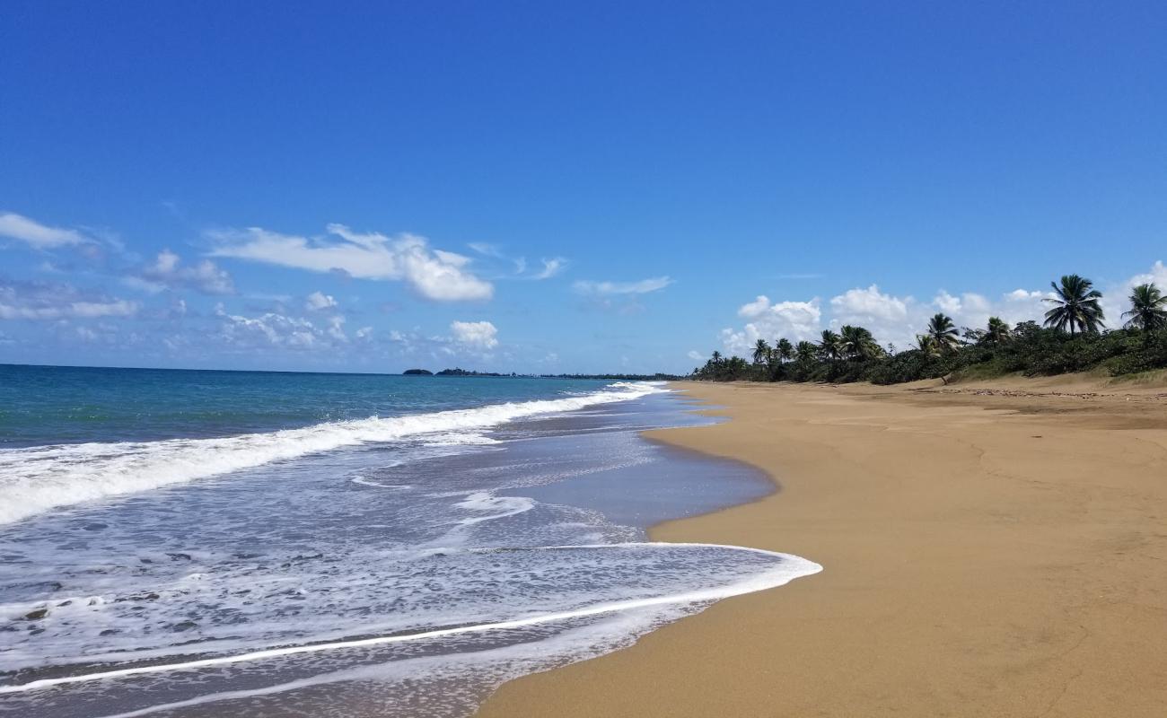 Photo de El Unico beach avec sable beige de surface