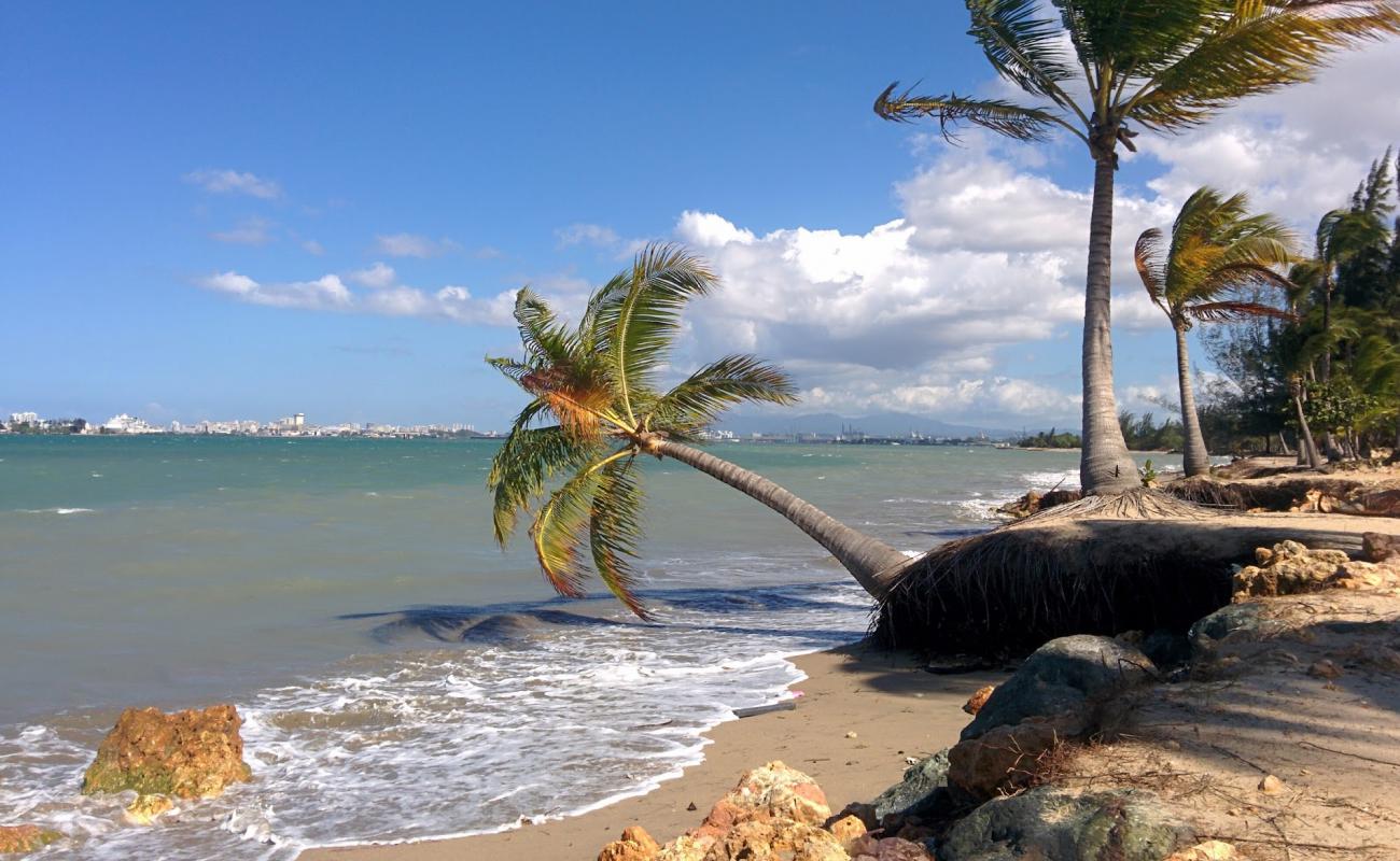 Photo de Esperanza beach avec sable beige de surface