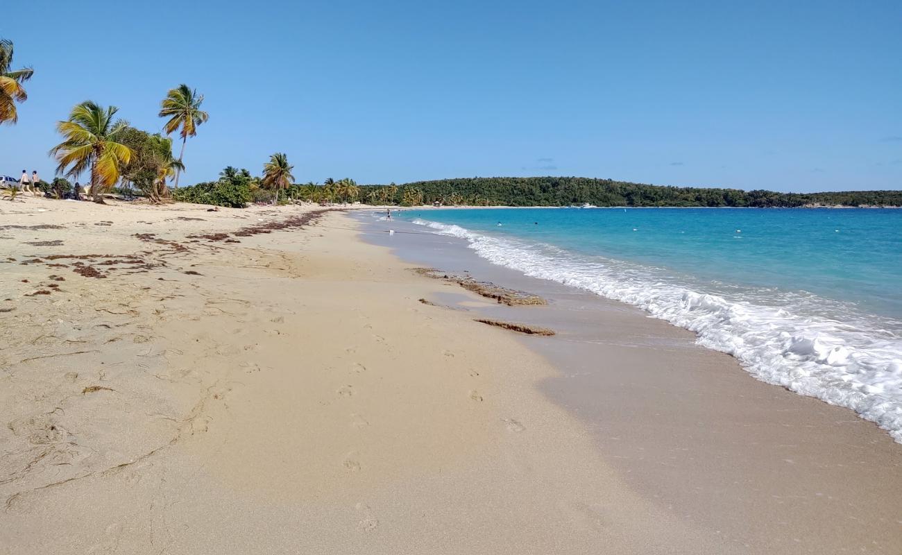 Photo de Playa Sun Bay avec sable beige de surface