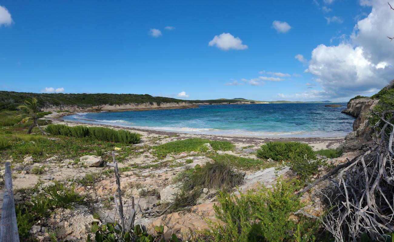 Photo de Puerto Ferros beach avec sable gris avec roches de surface