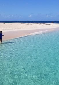 Île d'Icacos
